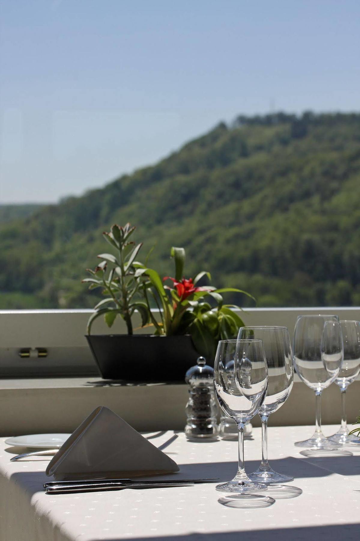 Wellness Hotel Tenedo - Thermalquellen Resort Bad Zurzach Exterior photo